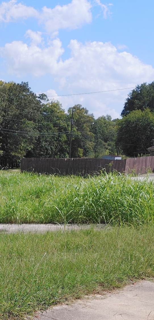 Unmowed yard